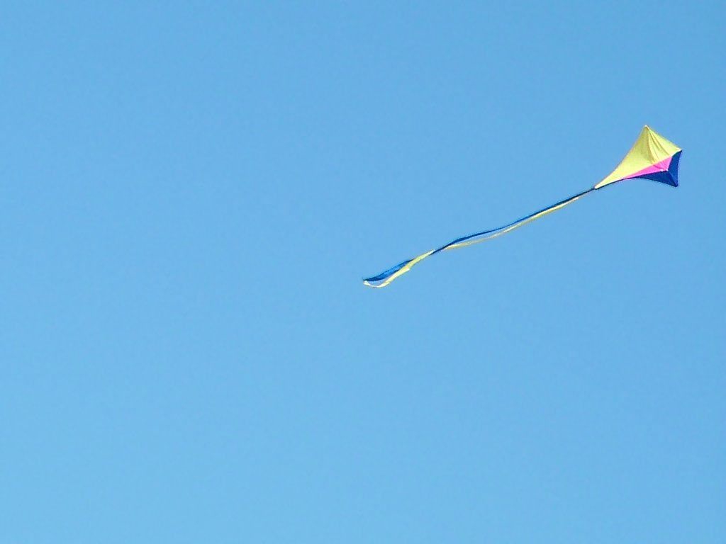 Click now to see this image full size.