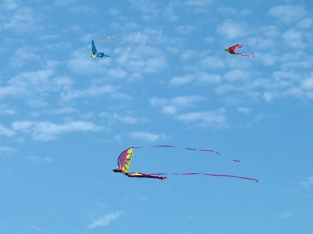 Click now to see this image full size.