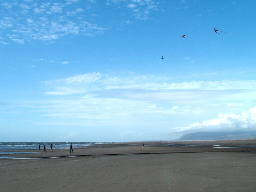 Click now to see this image full size.