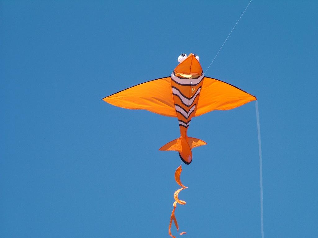 Click now to see this image full size.