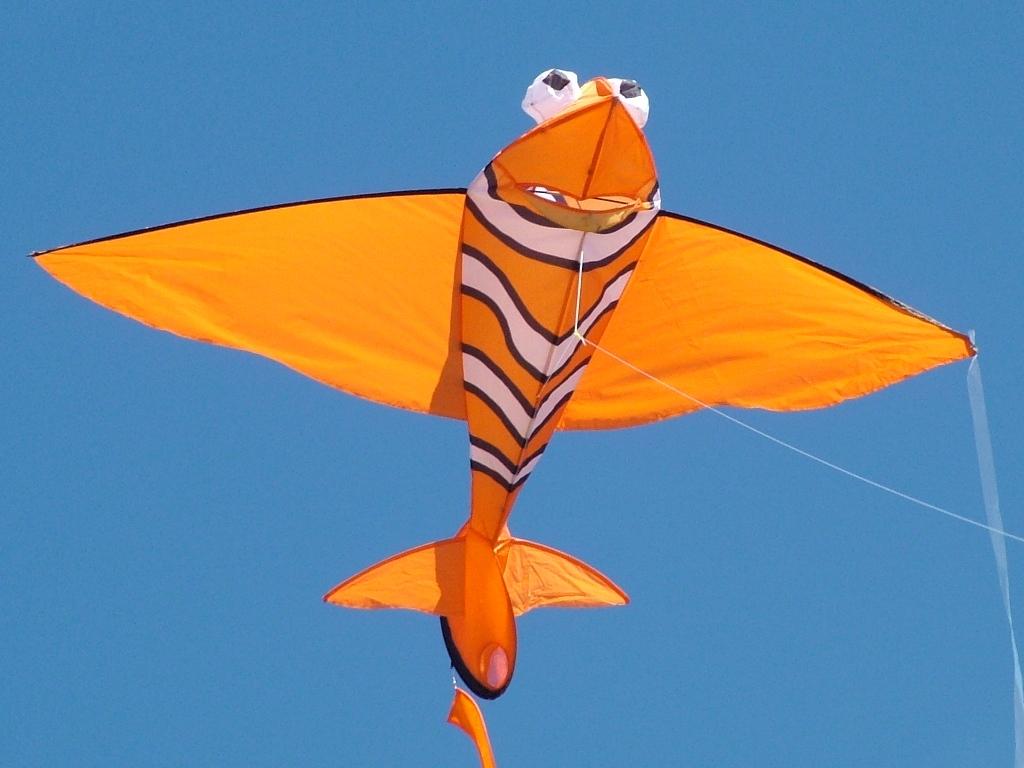 Click now to see this image full size.