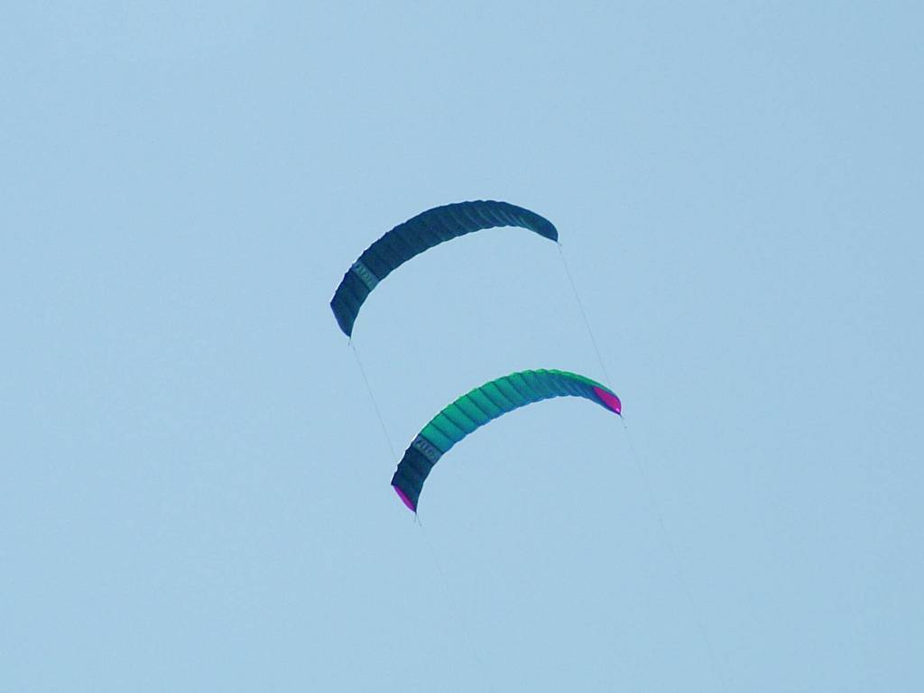 Click now to see this image full size.