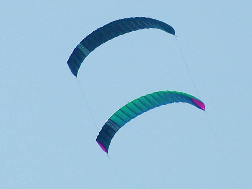 Click now to see this image full size.