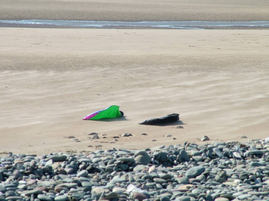 Click now to see this image full size.