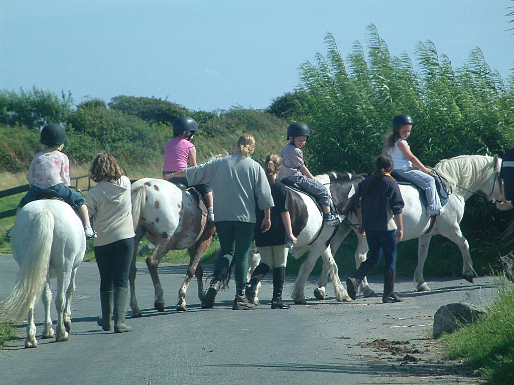 Click now to see this image full size.