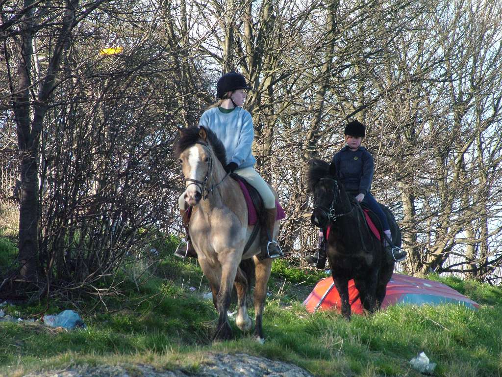 Click now to see this image full size.