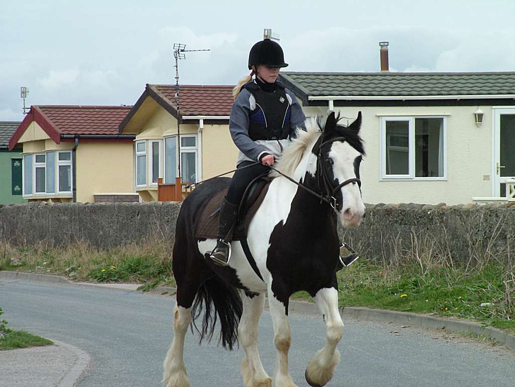 Click now to see this image full size.