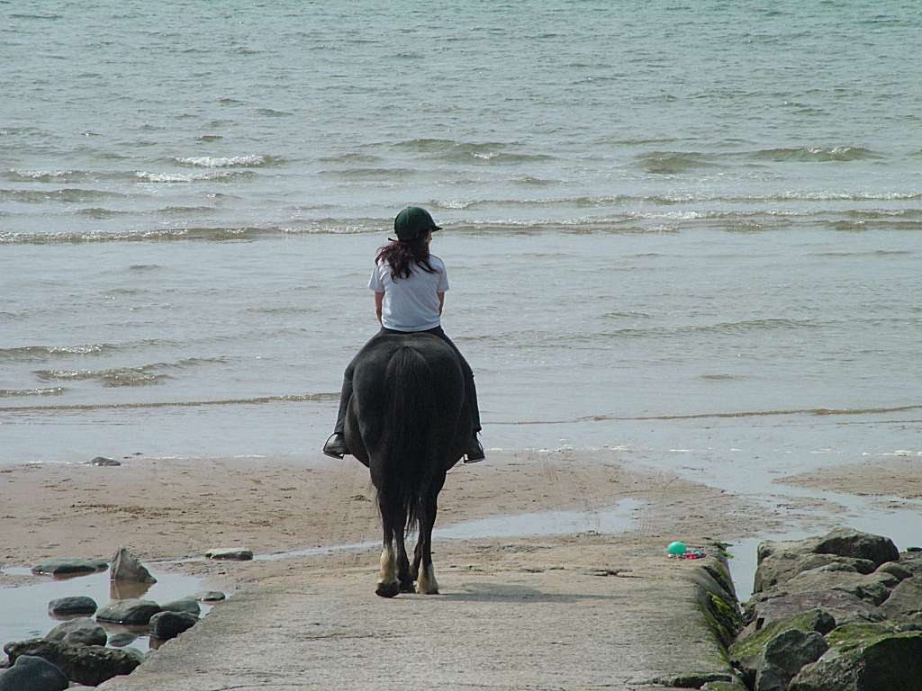 Click now to see this image full size.