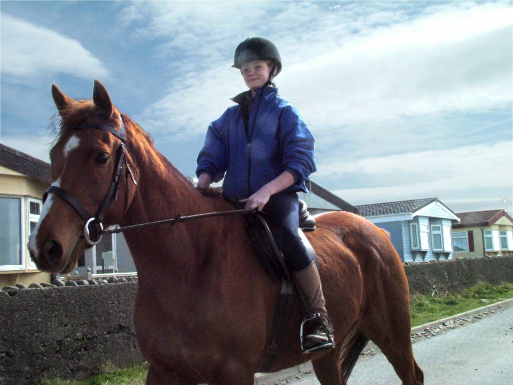 Click now to see this image full size.