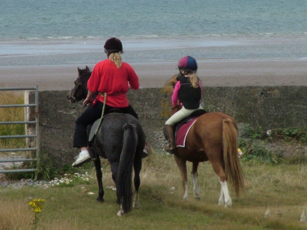 Click now to see this image full size.