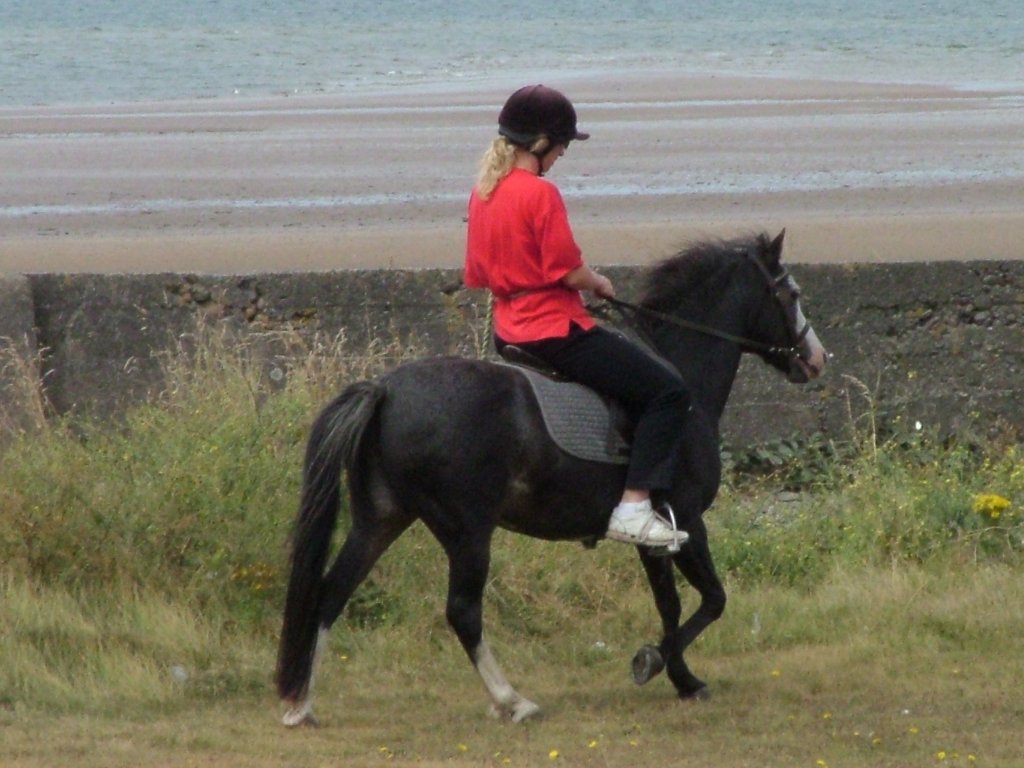 Click now to see this image full size.