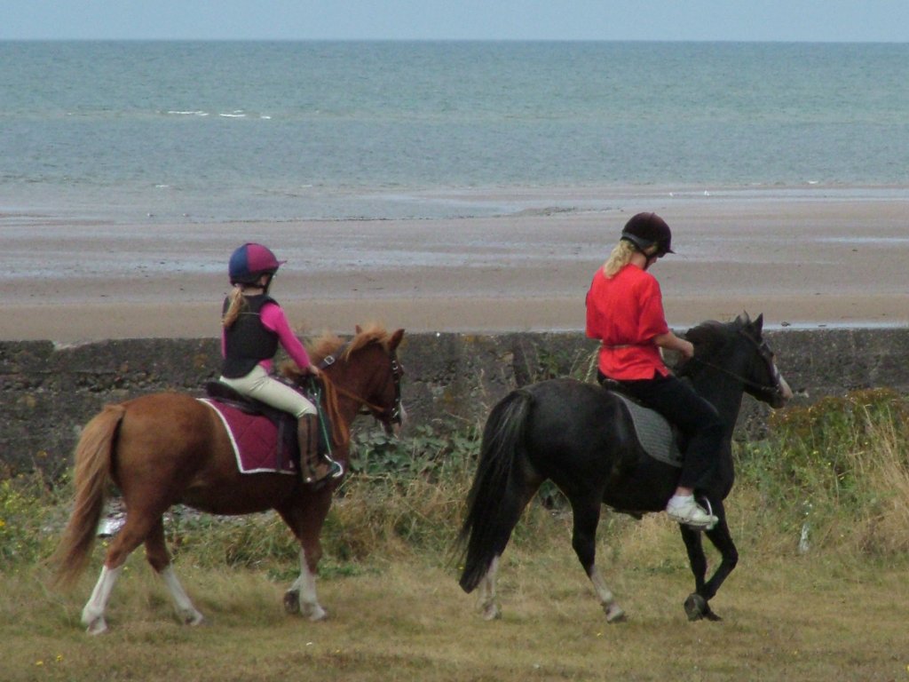 Click now to see this image full size.