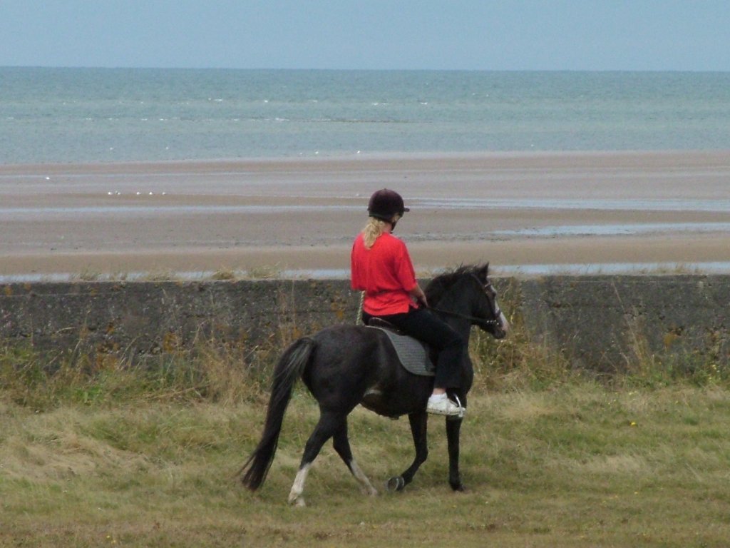 Click now to see this image full size.