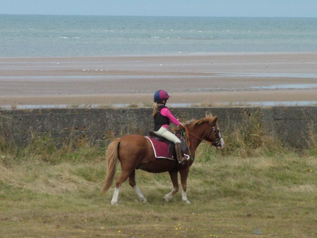 Click now to see this image full size.