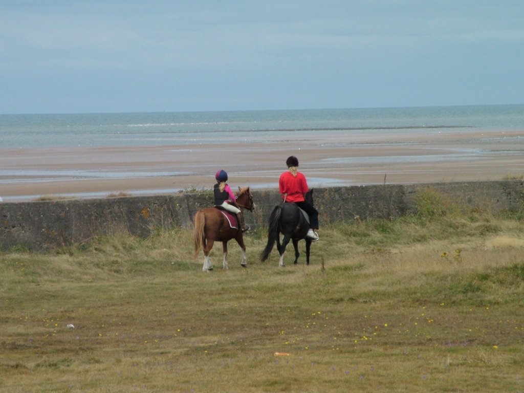 Click now to see this image full size.