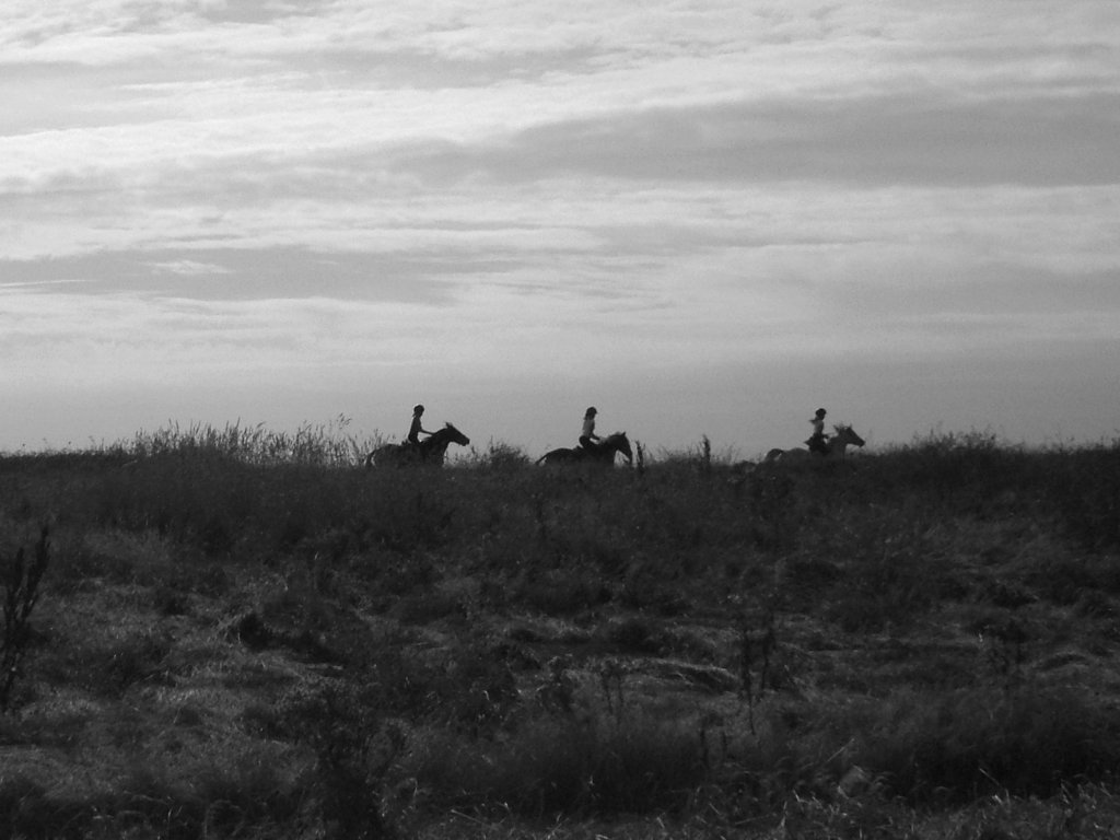 Click now to see this image full size.