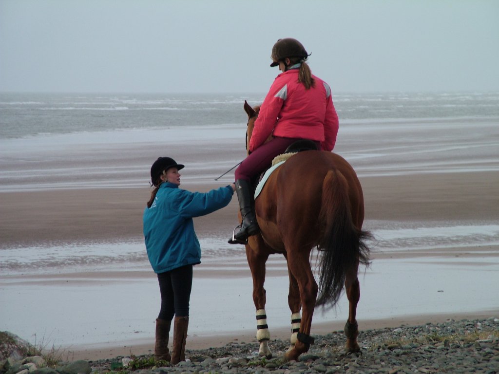 Click now to see this image full size.