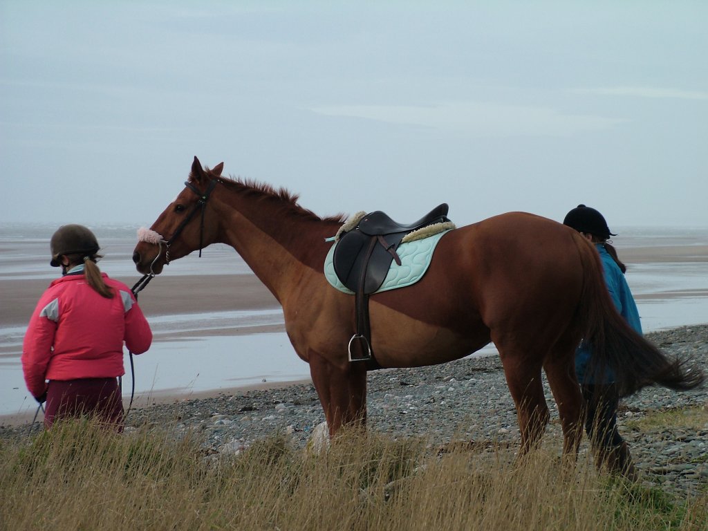 Click now to see this image full size.