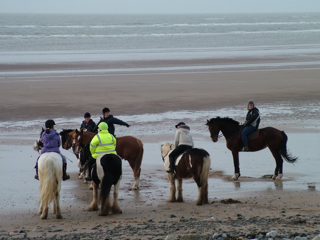 Click now to see this image full size.