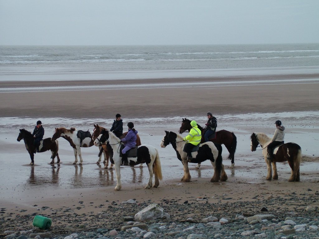 Click now to see this image full size.