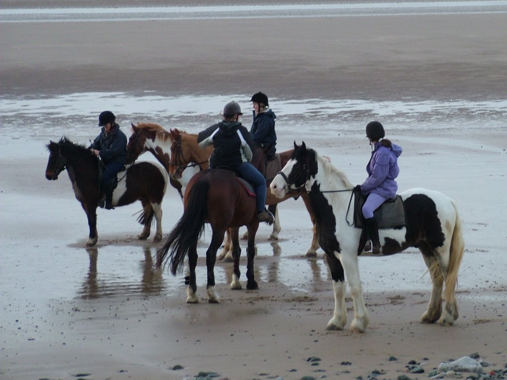 Click now to see this image full size.