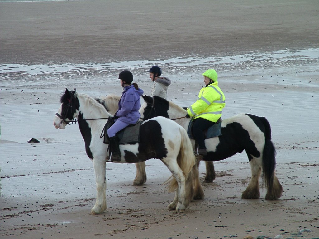 Click now to see this image full size.