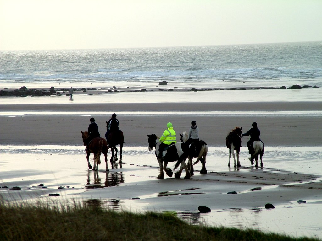 Click now to see this image full size.