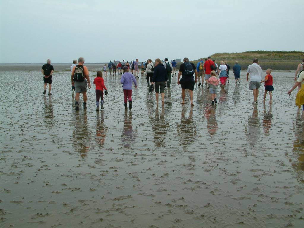 Click now to see this image full size.