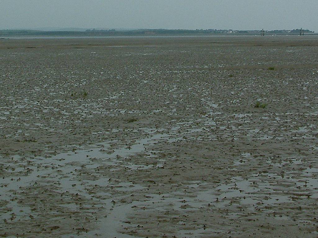 Click now to see this image full size.