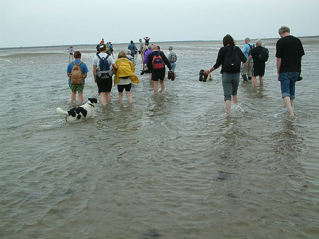 Click now to see this image full size.