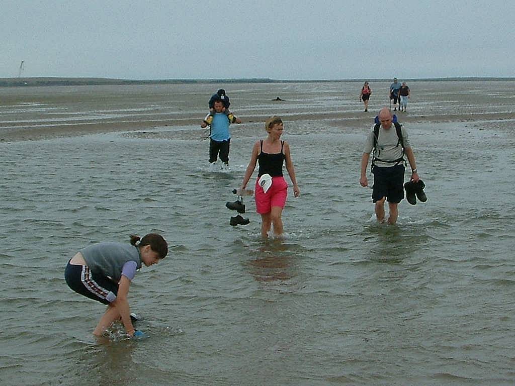 Click now to see this image full size.