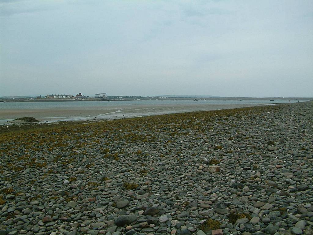 Click now to see this image full size.