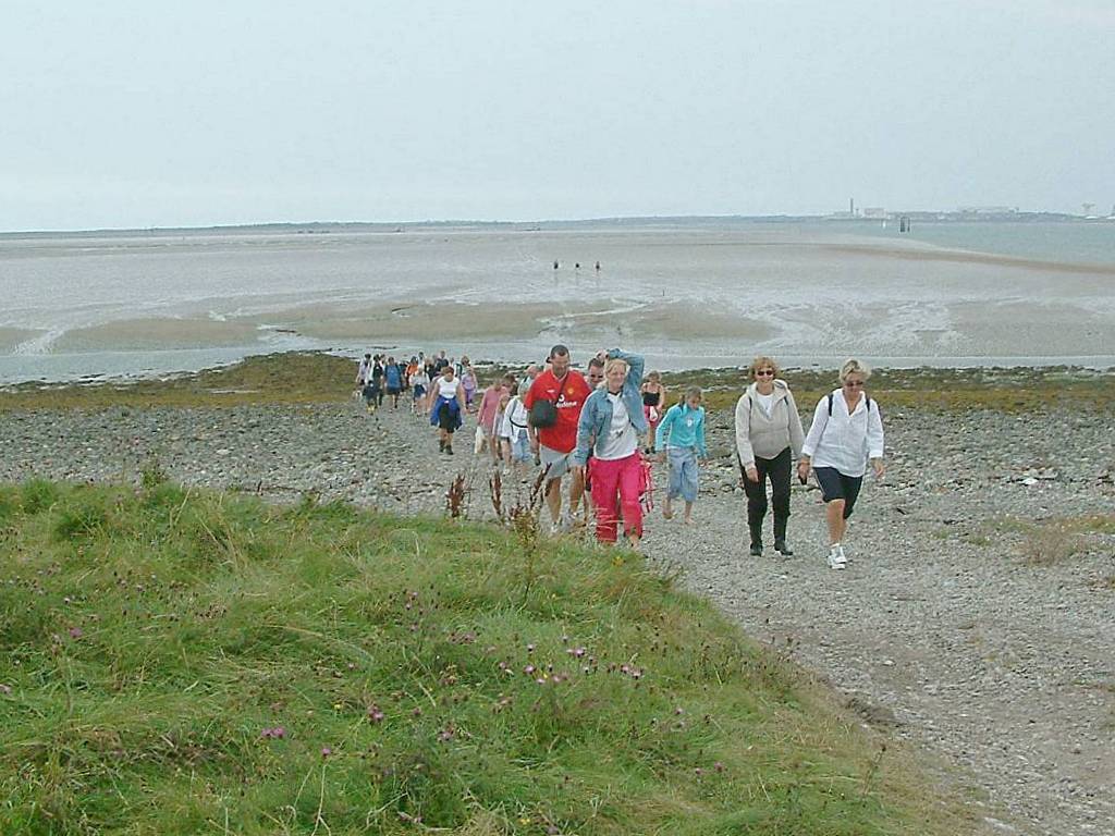 Click now to see this image full size.