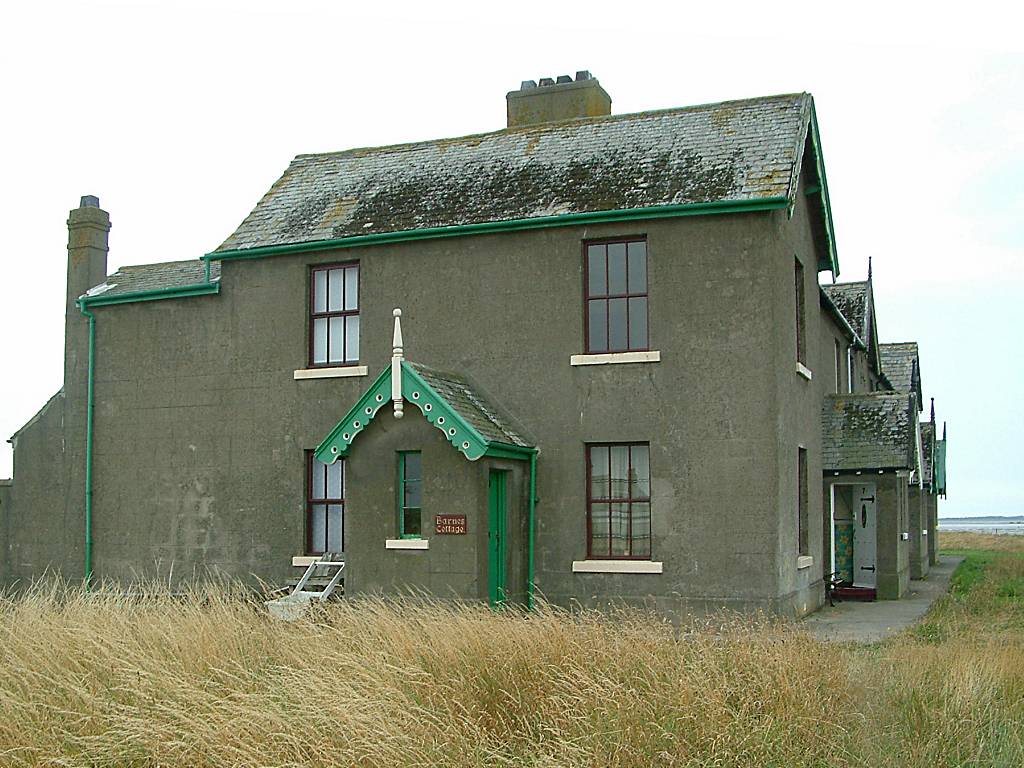 Click now to see this image full size.