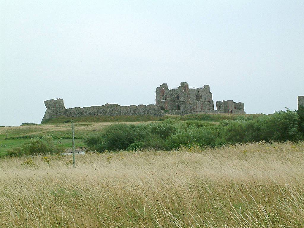 Click now to see this image full size.