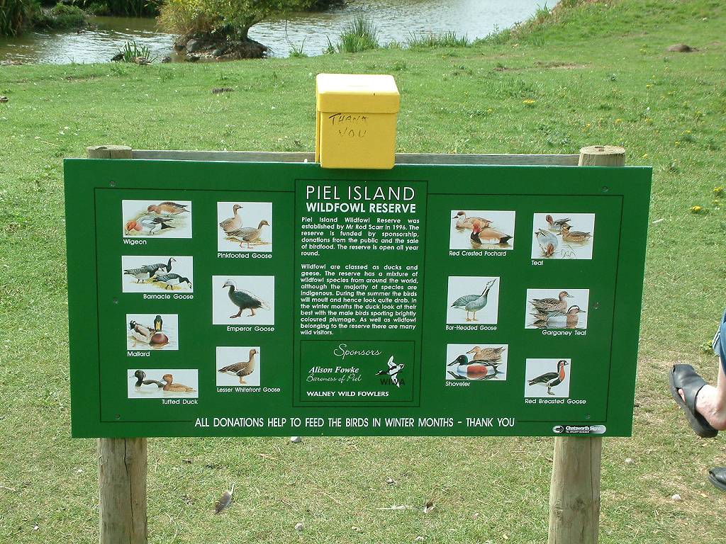 Click now to see this image full size.