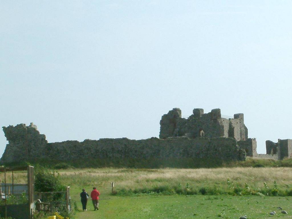 Click now to see this image full size.