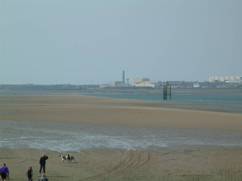 Click now to see this image full size.