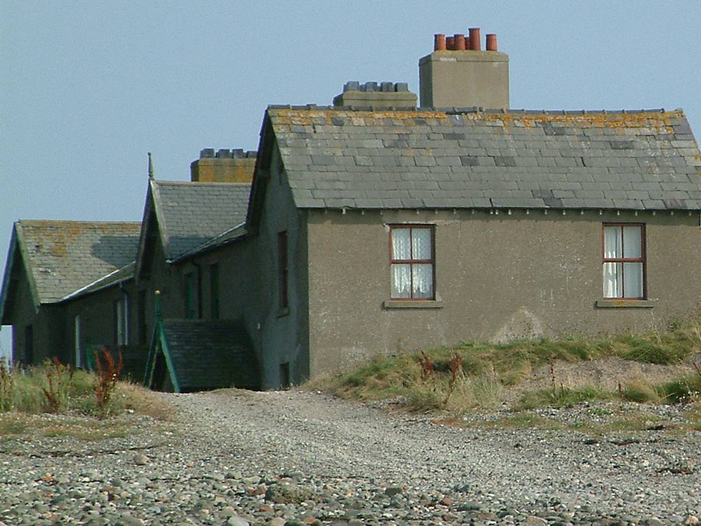 Click now to see this image full size.