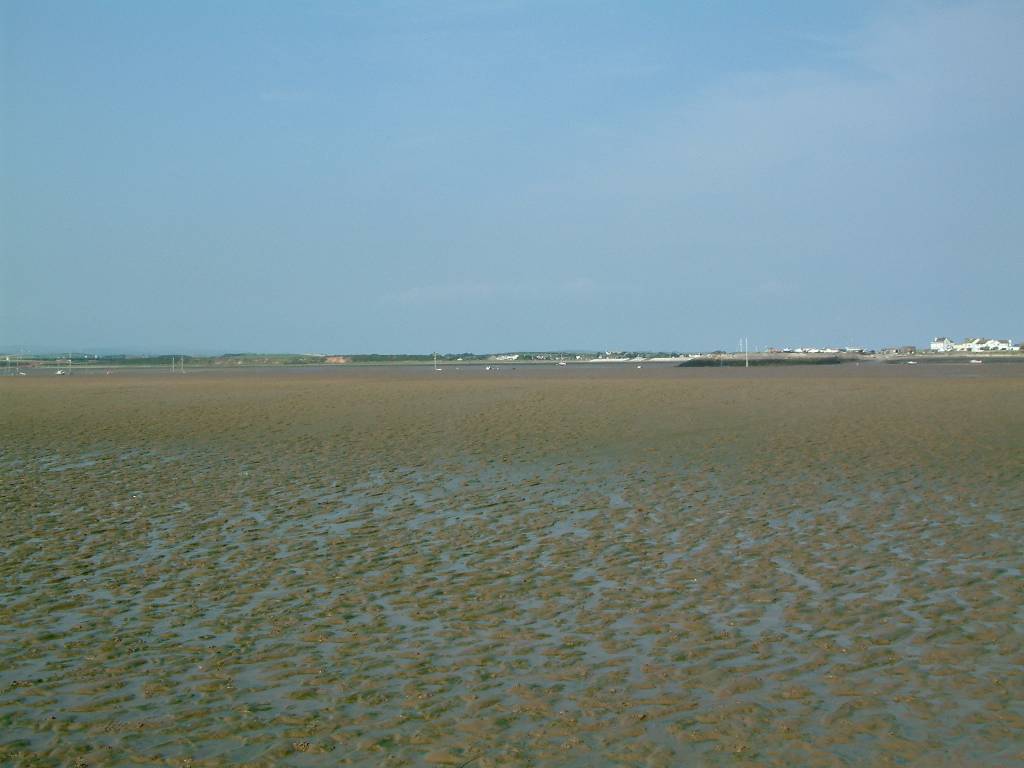 Click now to see this image full size.