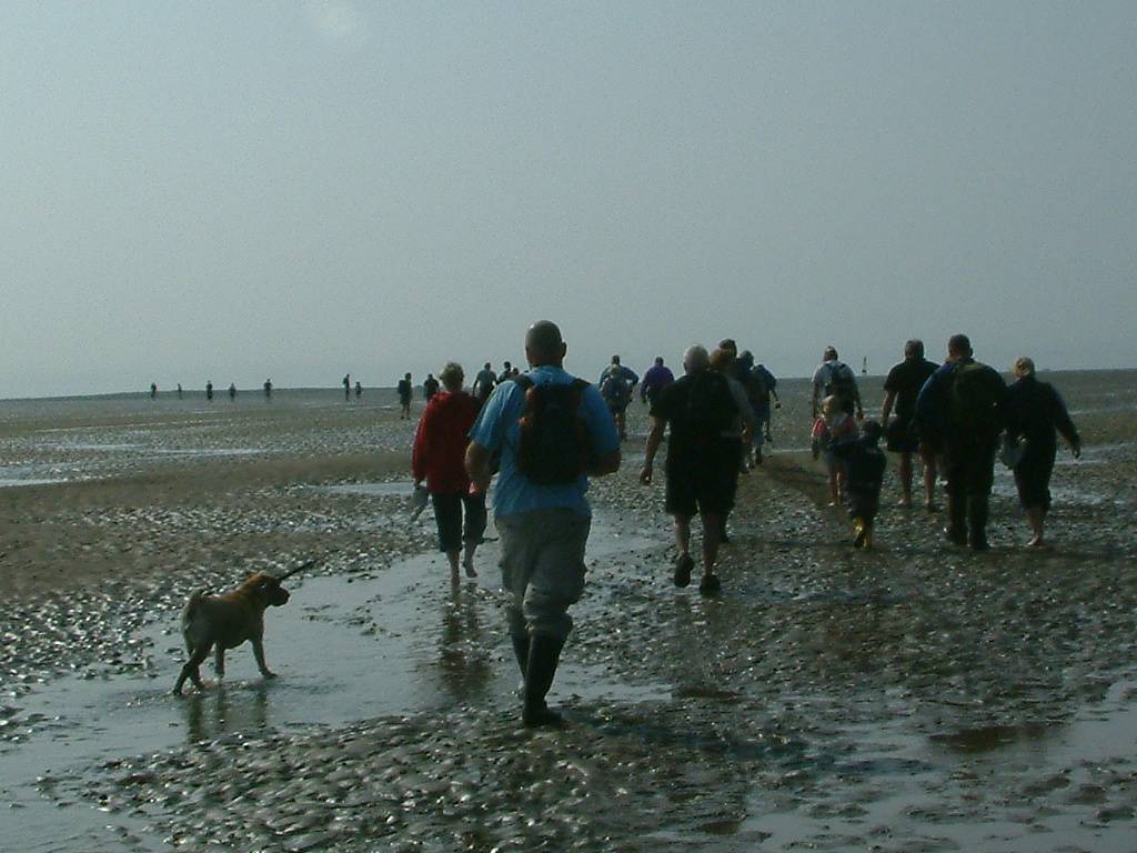 Click now to see this image full size.