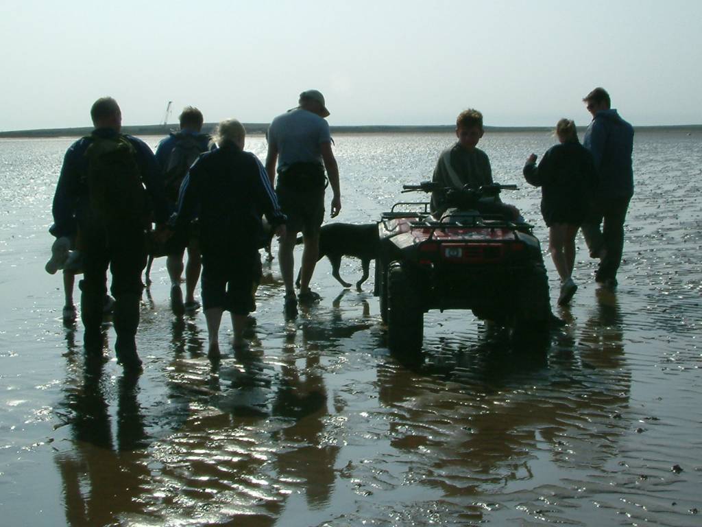 Click now to see this image full size.