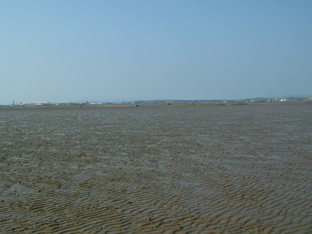 Click now to see this image full size.