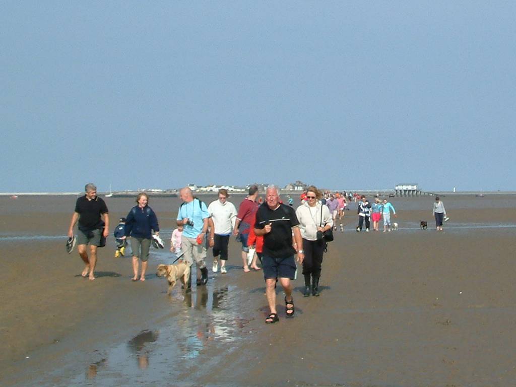 Click now to see this image full size.