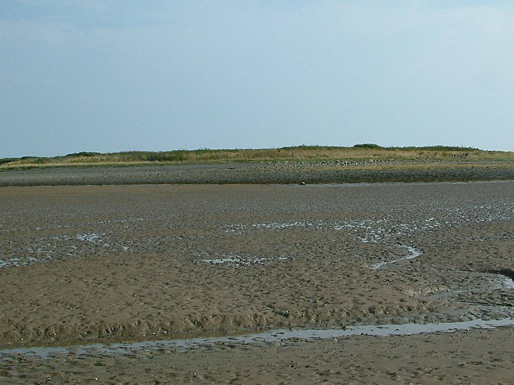 Click now to see this image full size.