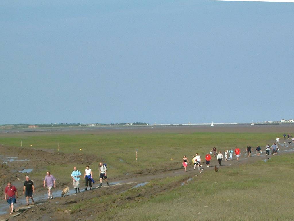 Click now to see this image full size.