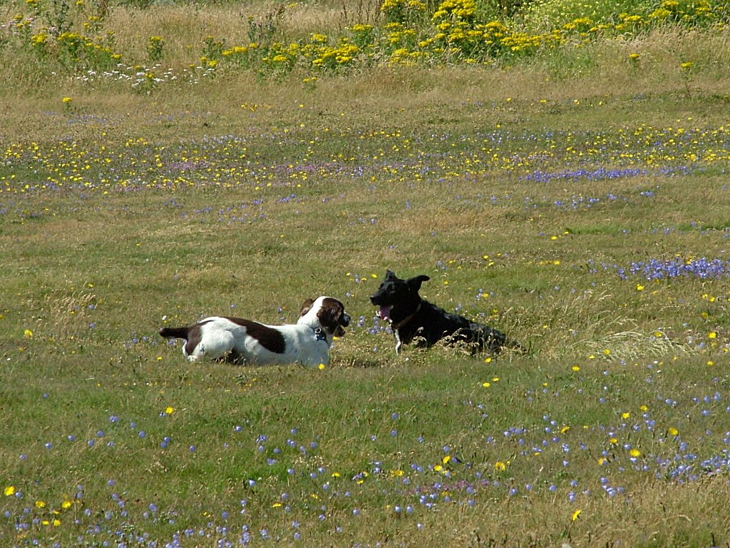 Click now to see this image full size.