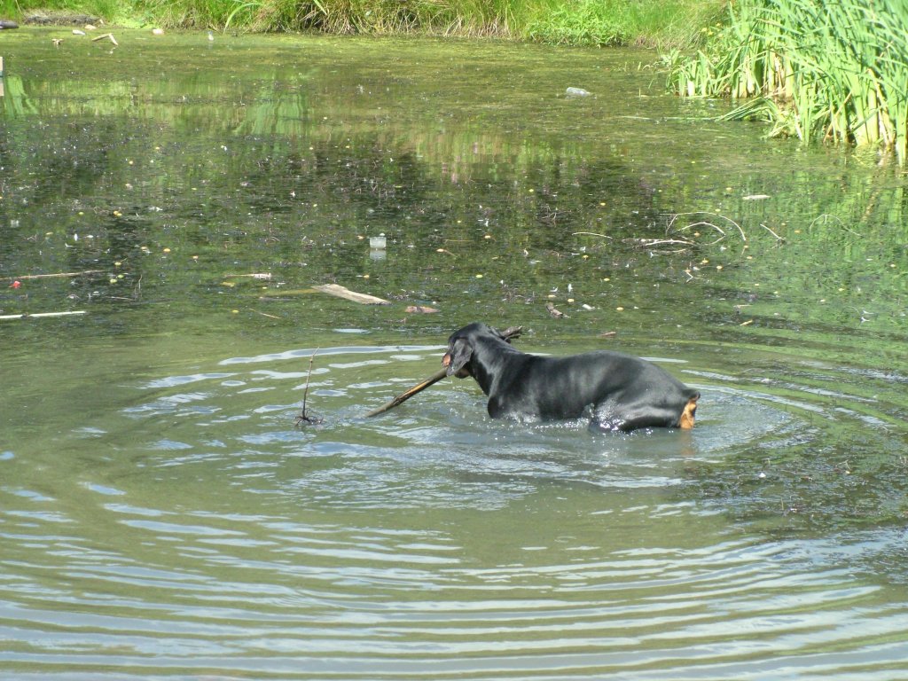 Click now to see this image full size.