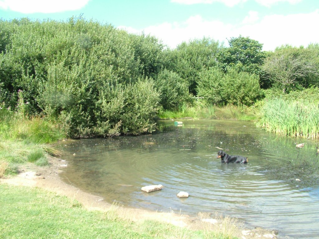 Click now to see this image full size.