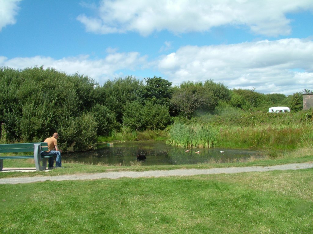 Click now to see this image full size.